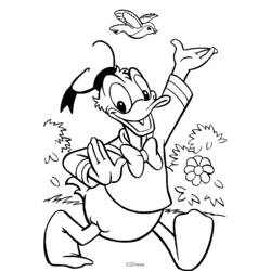 Donald Duck (Cartoon Characters) coloring page #30159 to print and color