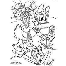 Donald Duck (Cartoon Characters) coloring page #30162 to print and color