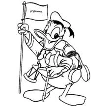 Donald Duck (Cartoon Characters) coloring page #30233 to print and color