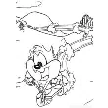 Taz (Cartoon Characters) coloring page #30967 to print and color