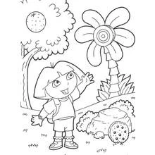 Dora the Explorer (Cartoons and Animated Shows) coloring page #29994 to print and color