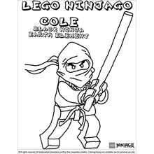 Ninjago (Cartoons and Animated Shows) coloring page #24080 to print and color