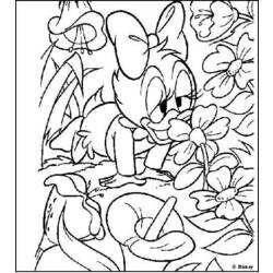 Coloring page: Donald Duck (Cartoons) #30182 - Free Printable Coloring Pages