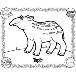 Coloring page: Go Diego! (Cartoons) #48508 - Printable coloring pages