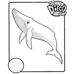 Coloring page: Go Diego! (Cartoons) #48534 - Free Printable Coloring Pages