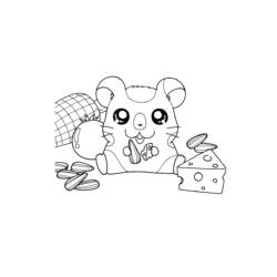 Coloring page: Hamtaro (Cartoons) #40161 - Free Printable Coloring Pages