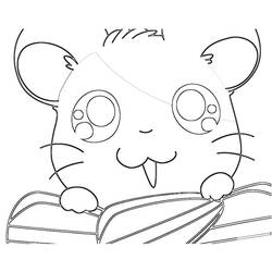 Coloring page: Hamtaro (Cartoons) #40193 - Free Printable Coloring Pages