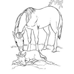 Coloring page: Horseland (Cartoons) #53922 - Free Printable Coloring Pages