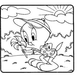 Coloring page: Tweety and Sylvester (Cartoons) #29366 - Free Printable Coloring Pages