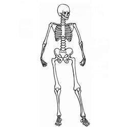 Coloring page: Skeleton (Characters) #147428 - Printable coloring pages