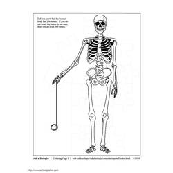 Coloring page: Skeleton (Characters) #147456 - Free Printable Coloring Pages