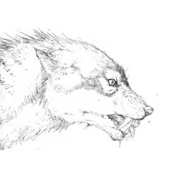 Coloring page: Werewolf (Characters) #100026 - Printable coloring pages