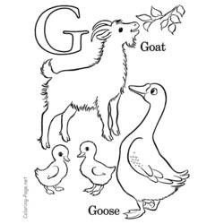 Coloring page: Alphabet (Educational) #124809 - Free Printable Coloring Pages