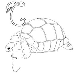 Coloring page: Alphabet (Educational) #124989 - Free Printable Coloring Pages