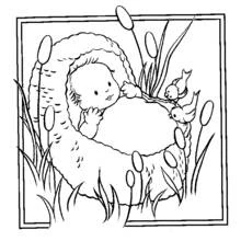 Coloring page: Baby (Family and Friends) #86693 - Free Printable Coloring Pages