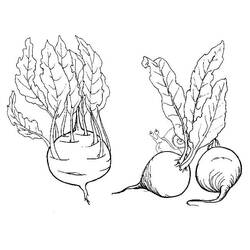 Coloring pages: Beet - Free Printable Coloring Pages