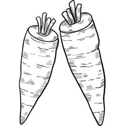 Carrot (Food and Nutrition) coloring page #197536 to print and color
