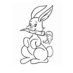 Carrot (Food and Nutrition) coloring page #197539 to print and color