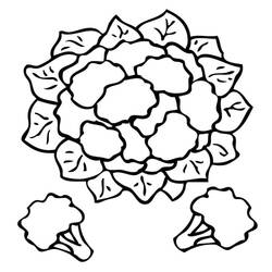 Coloring pages: Cauliflower - Free Printable Coloring Pages