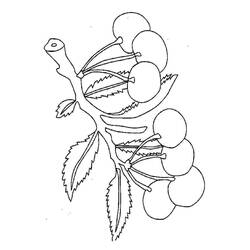 Coloring pages: Cherry - Free Printable Coloring Pages