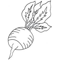 Coloring page: Radish (Food and Nutrition) #220982 - Free Printable Coloring Pages