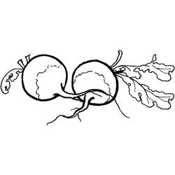 Coloring page: Radish (Food and Nutrition) #220983 - Free Printable Coloring Pages