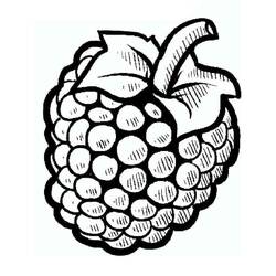 Coloring pages: Raspberry - Free Printable Coloring Pages