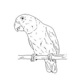 Coloring pages: Senegal - Free Printable Coloring Pages