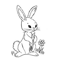 Coloring page: Easter (Holidays and Special occasions) #54569 - Free Printable Coloring Pages