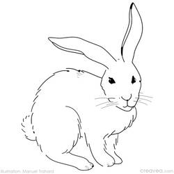 Coloring page: Easter (Holidays and Special occasions) #54719 - Free Printable Coloring Pages