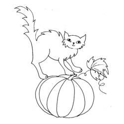 Coloring page: Halloween (Holidays and Special occasions) #55405 - Free Printable Coloring Pages