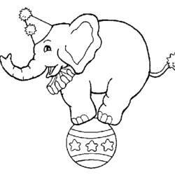 Coloring page: Acrobat (Jobs) #87312 - Printable coloring pages