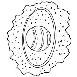 Planet (Solar System) (Learning and Education) coloring page #193878 to print and color