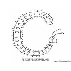 Alphabet (Letters and Alphabet) coloring page #124614 to print and color