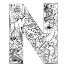 Alphabet (Letters and Alphabet) coloring page #124628 to print and color