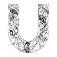 Alphabet (Letters and Alphabet) coloring page #124632 to print and color