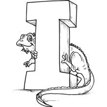 Alphabet (Letters and Alphabet) coloring page #124800 to print and color