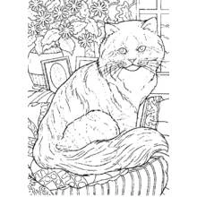 Coloring page: Anti-Stress (Mandalas) #126824 - Free Printable Coloring Pages