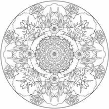 Coloring page: Anti-Stress (Mandalas) #127102 - Free Printable Coloring Pages