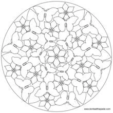Coloring page: Anti-Stress (Mandalas) #22977 - Free Printable Coloring Pages