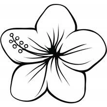 Art Therapy (Mandalas) coloring page #23156 to print and color