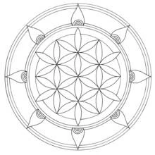 Art Therapy (Mandalas) coloring page #23173 to print and color