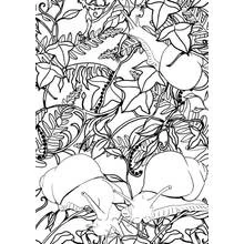 Art Therapy (Mandalas) coloring page #23185 to print and color