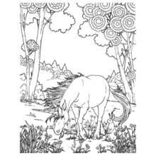 Art Therapy (Mandalas) coloring page #23228 to print and color