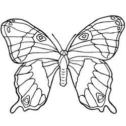 Coloring page: Butterfly Mandalas (Mandalas) #117396 - Printable coloring pages