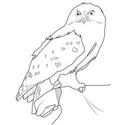 Harry Potter (Movies and TV Shows) coloring page #173757 to print and color