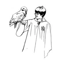 Harry Potter (Movies and TV Shows) coloring page #69617 to print and color