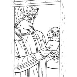 Harry Potter (Movies and TV Shows) coloring page #69632 to print and color