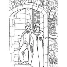 Harry Potter (Movies and TV Shows) coloring page #69650 to print and color