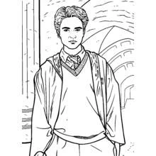 Harry Potter (Movies and TV Shows) coloring page #69727 to print and color